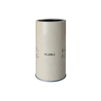 108*216mm Hydwell Motor Parts Fuel Filter 1780730 FS19737 P955607 3905873M91 para camión