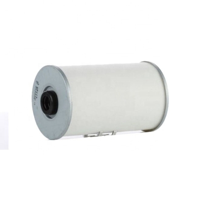 FF5055 Filtro P502131 FF502131 BF10181 0004773415 3900877 6005019604 para las piezas del motor
