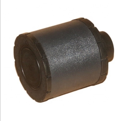 Tractores de gran cantidad Diesel piezas Elemento de filtro de aire C045001 0061351920 Año Otro