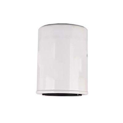 1000395855 WB202G Filtro de aceite para motor diesel dentro de Hydwell