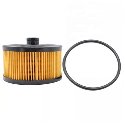 152095084R Partes de motores de camiones Hydwell Elemento de filtro de aceite lubricante para tractores de otro año