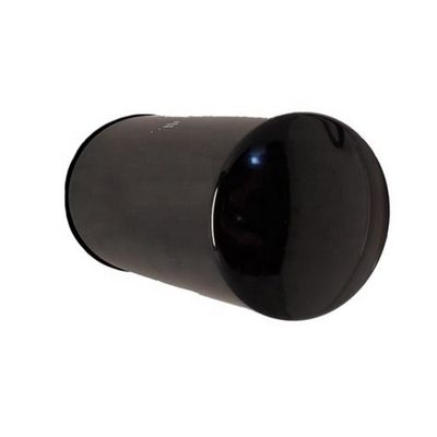 Las partes de las excavadoras filtro de combustible RE533910 P576926 DZ112918 WFS105056 para camión personalizado