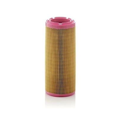 Las partes del camión y del motor El elemento del filtro de aire C131452 P822768 1310030160 133720A1 2617237011 11711494