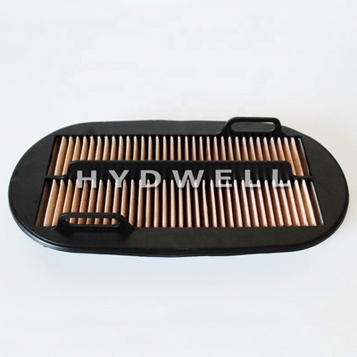 479-8989 Filtro de aire de excavadora Hydwell para el motor del tractor SA160066 mejor garantizado