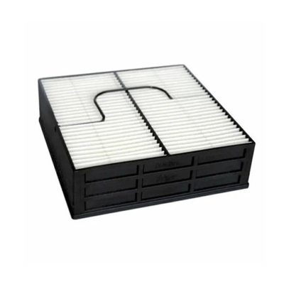 Elemento de filtro de aire de excelente filtración FS19083 Bf46087 para MAN de Hydwell