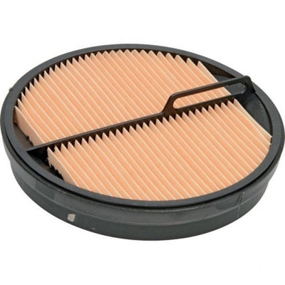 Home Filtro de aire para tractores Excavadoras Partes de motores diésel RE181915 P547520 SA16438