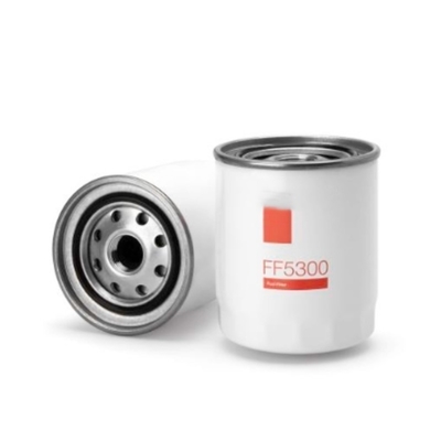 El elemento de filtro de combustible FF5300 33394 6050134 BF1110 P502143 con un rendimiento superior