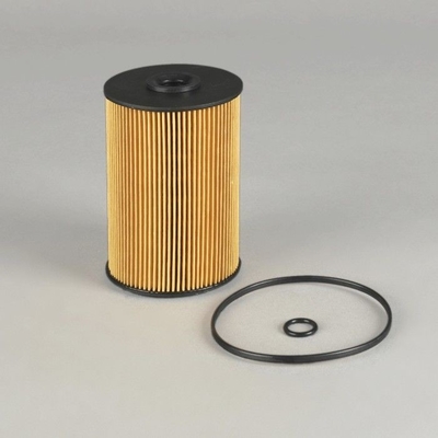 Otros accesorios para automóviles EF-1301 Filtro de combustible FF5733 B222100000701 EF-1301